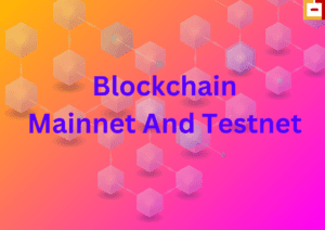 Mainnet And Testnet